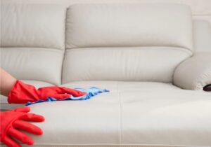 Professional Leather Cleaning South Fremantle