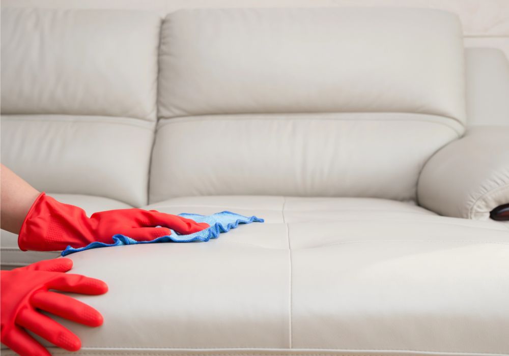 Professional Leather Cleaning South Fremantle