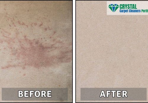 Carpet Stain Removal - Before and After Photo of Carpet being Cleaned in Perth Western Australia
